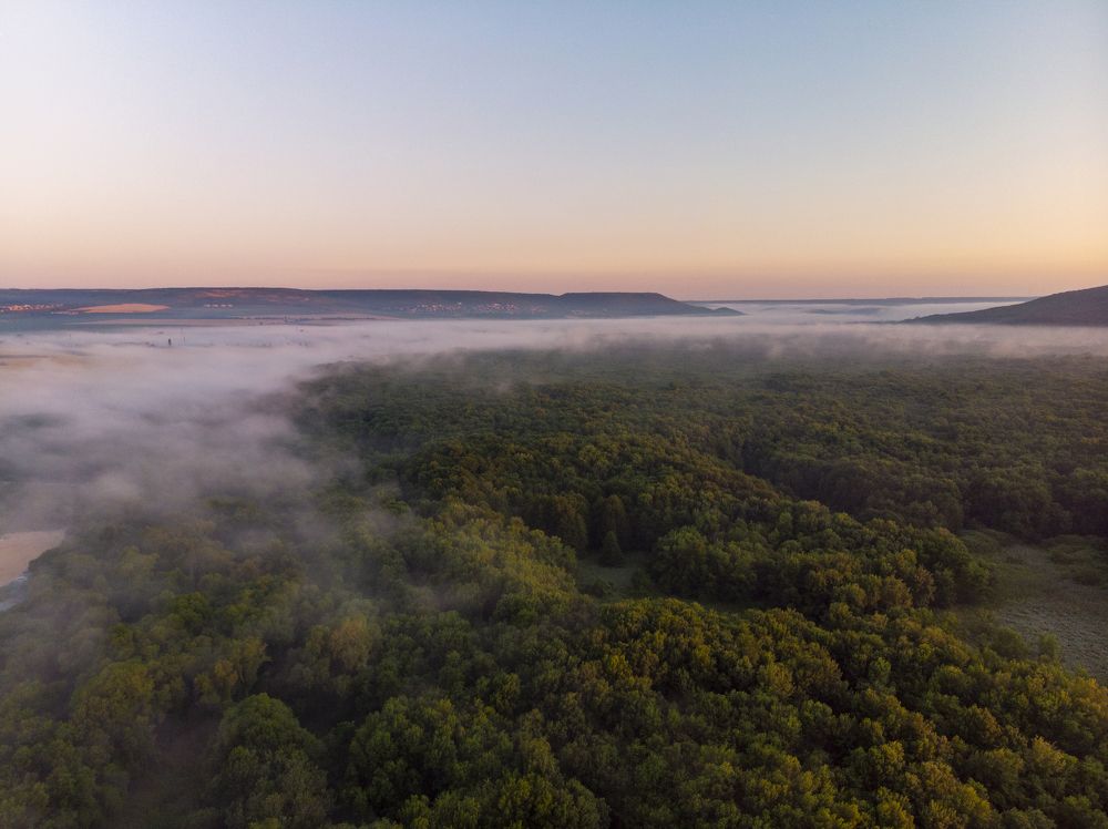 Photograph by Gergana Vlaykova