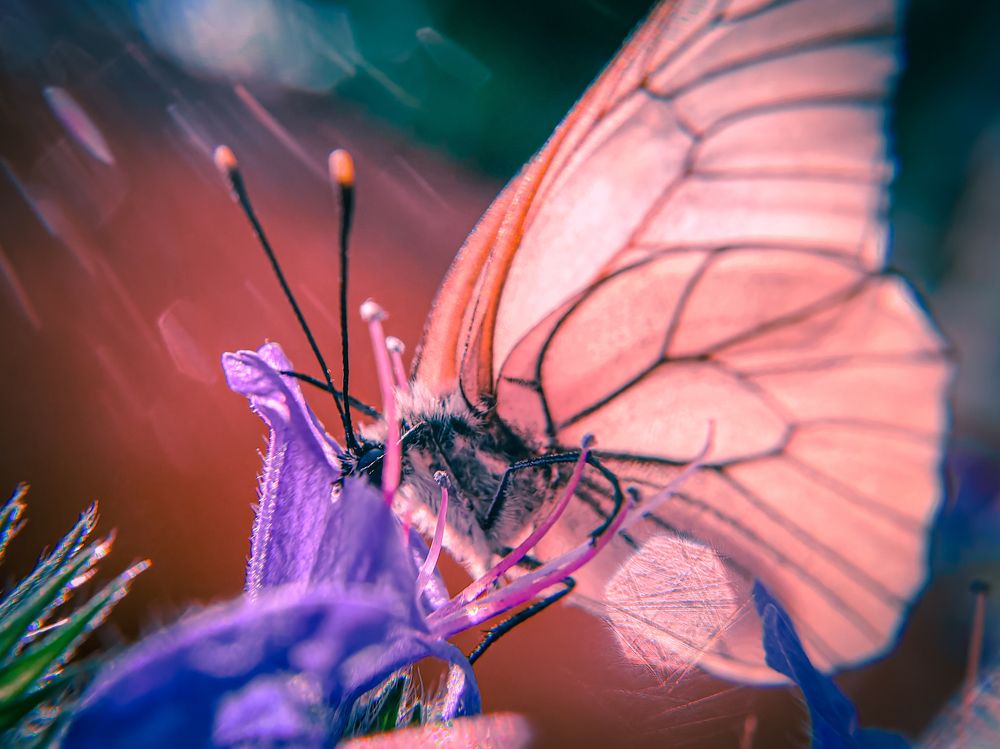 Photograph by Елена