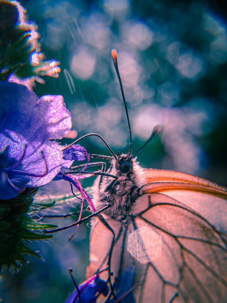 Photograph by Елена