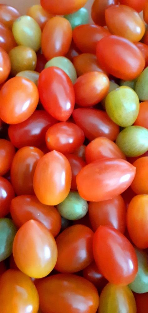 Photograph by Евгения Ульянова