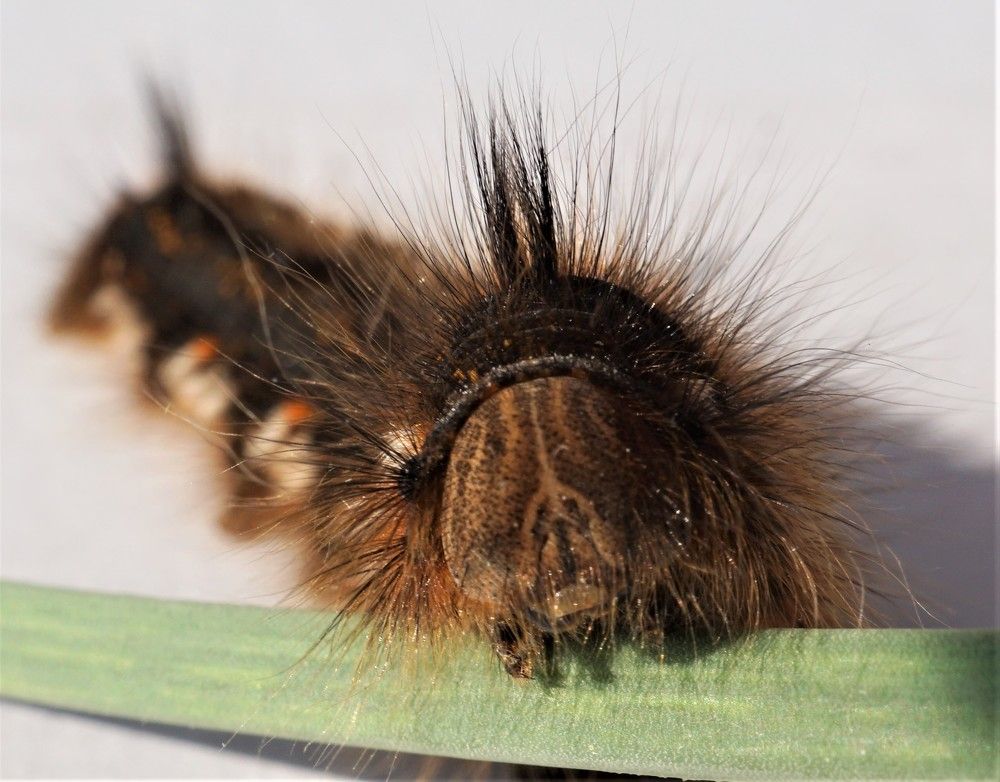 Photograph by Михаил Трусов