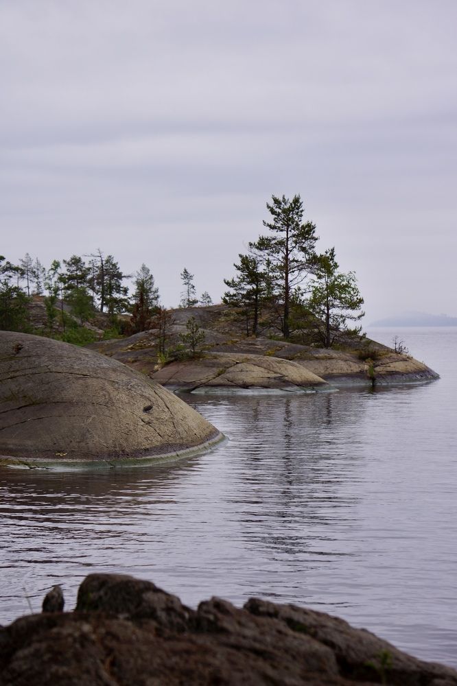 Photograph by Oksana Smorodina