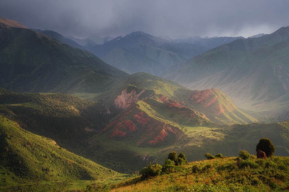Фотография автора Шишкин Дмитрий
