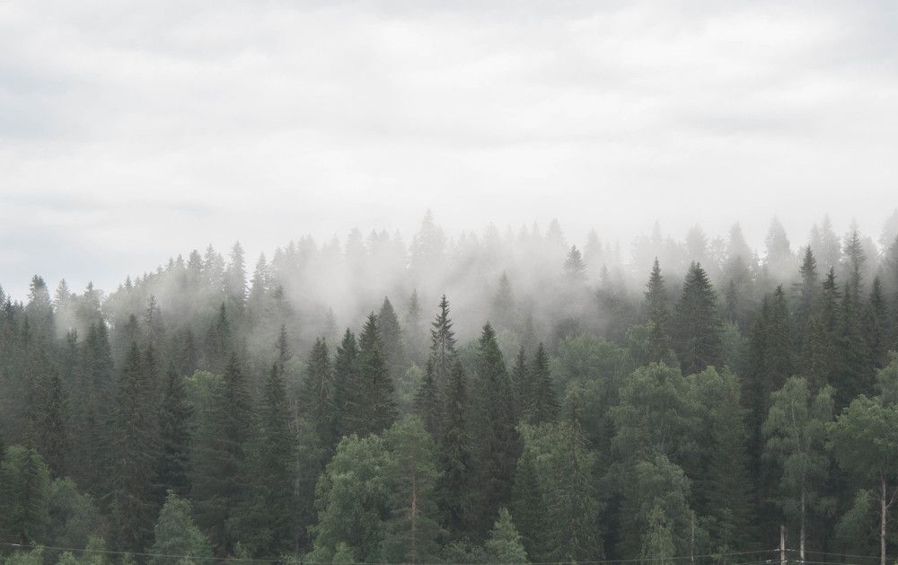 Photograph by Арсений Кучма