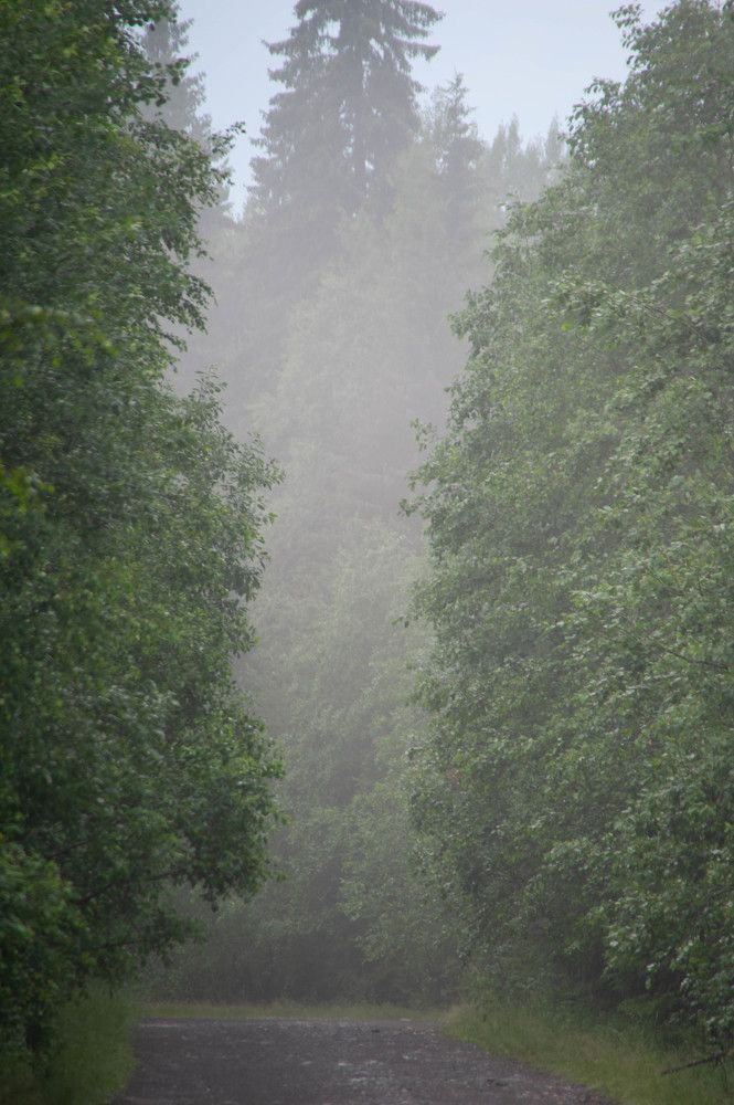 Photograph by Арсений Кучма