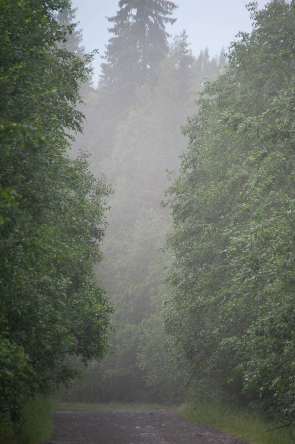 Photo #9278648