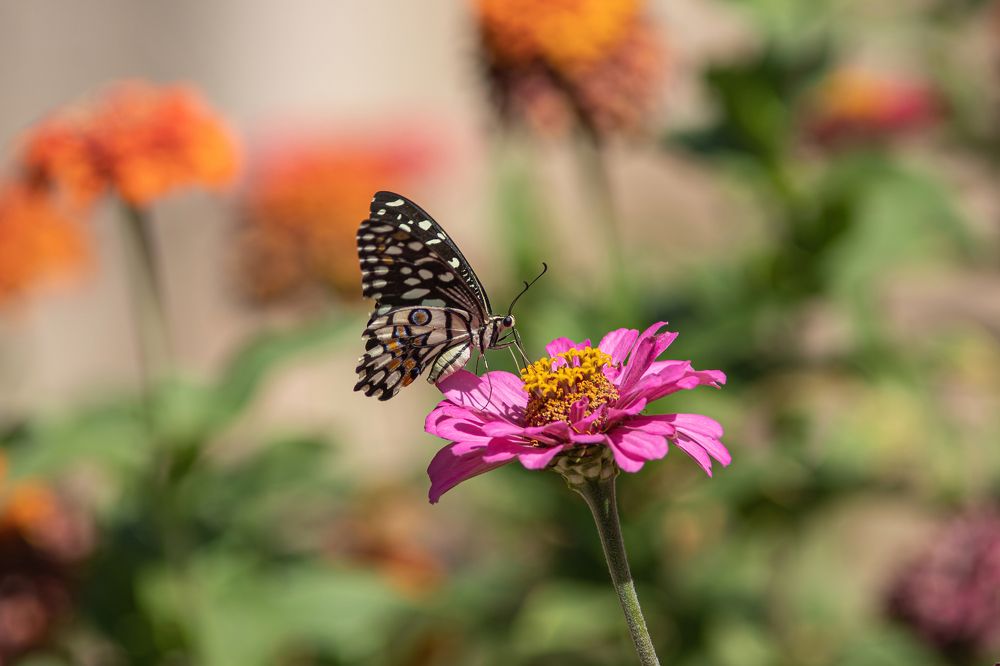 Photograph by Евгения Севрюкова