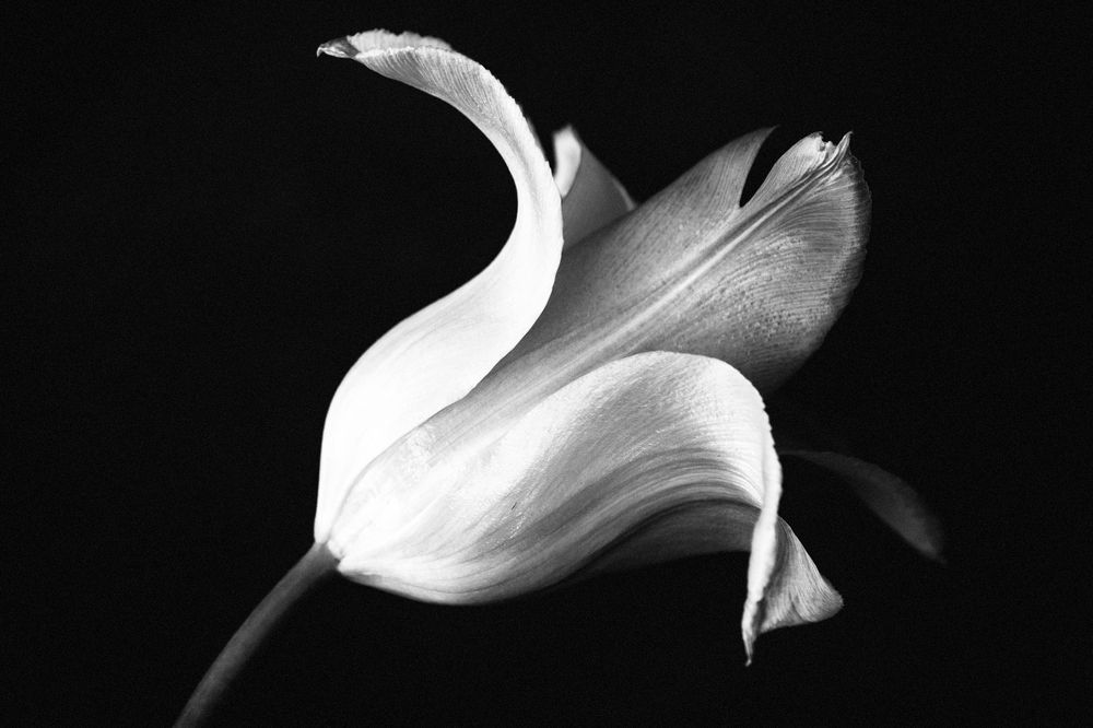 Photograph by Сергей Алексеев