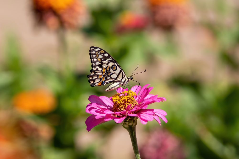Photograph by Евгения Севрюкова
