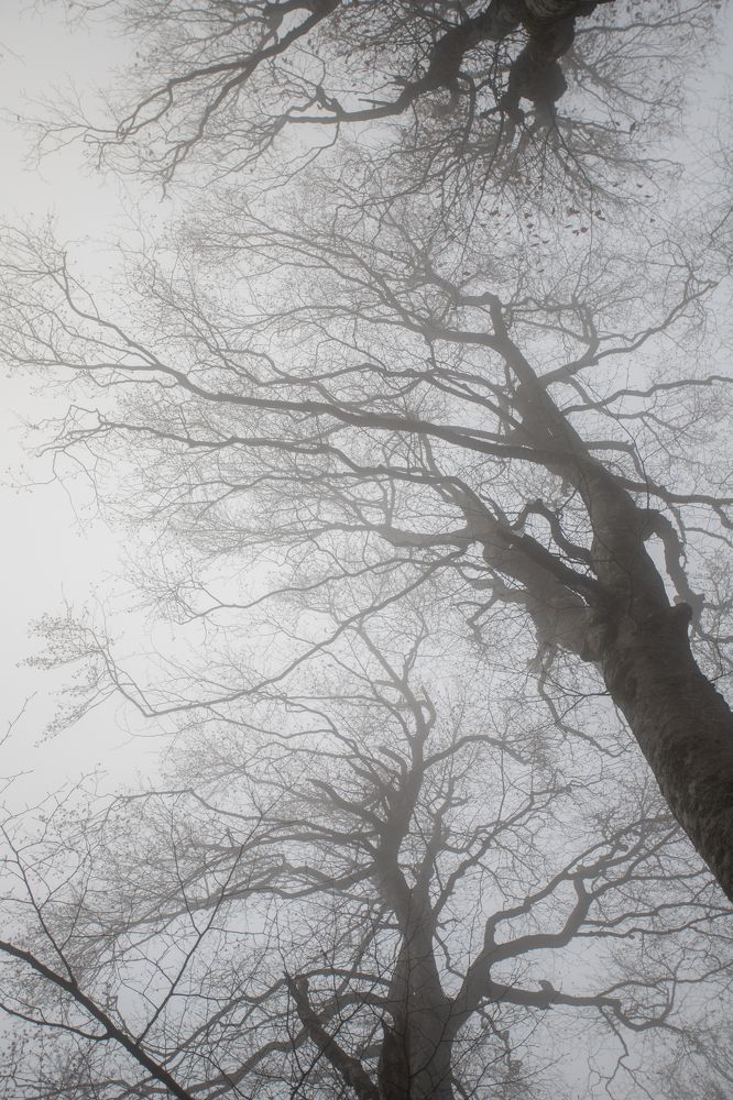 Photograph by Евгения Севрюкова