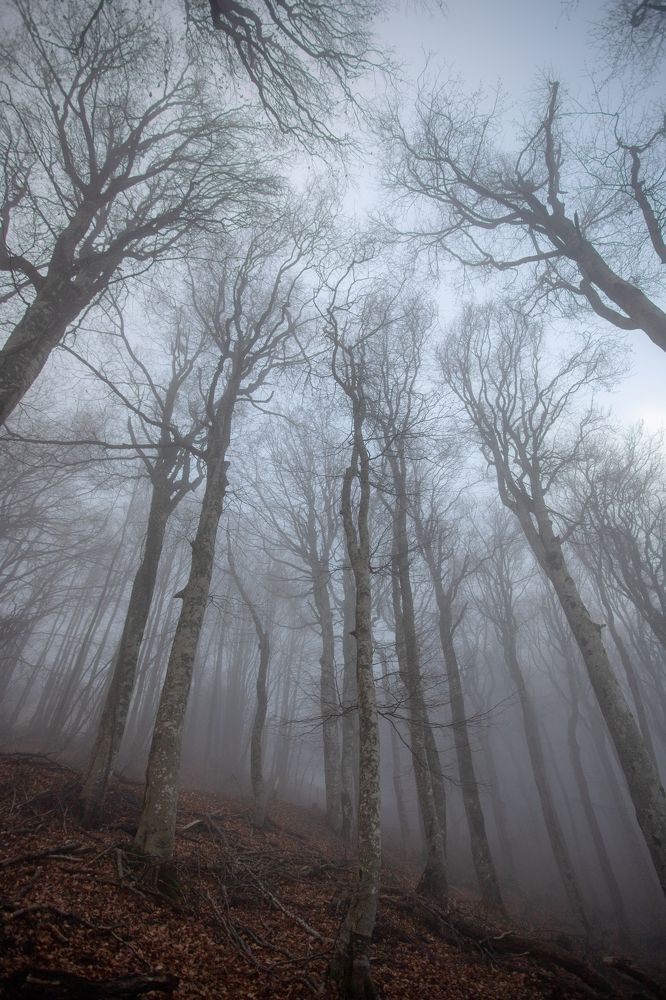 Photograph by Евгения Севрюкова