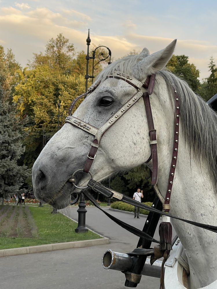 Photograph by Eugene Krivoy