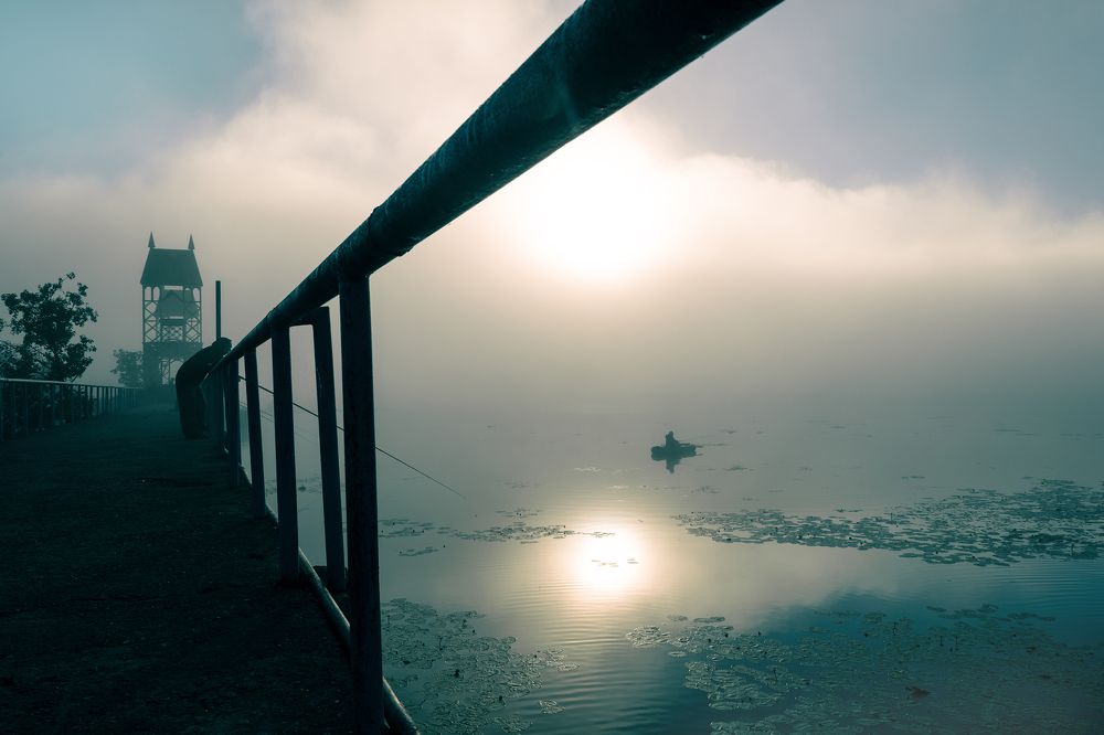 Фотография автора Elena Kulakova