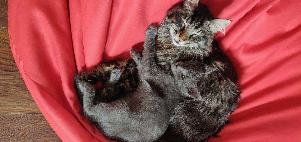 Photograph by Radoslav Stefanov