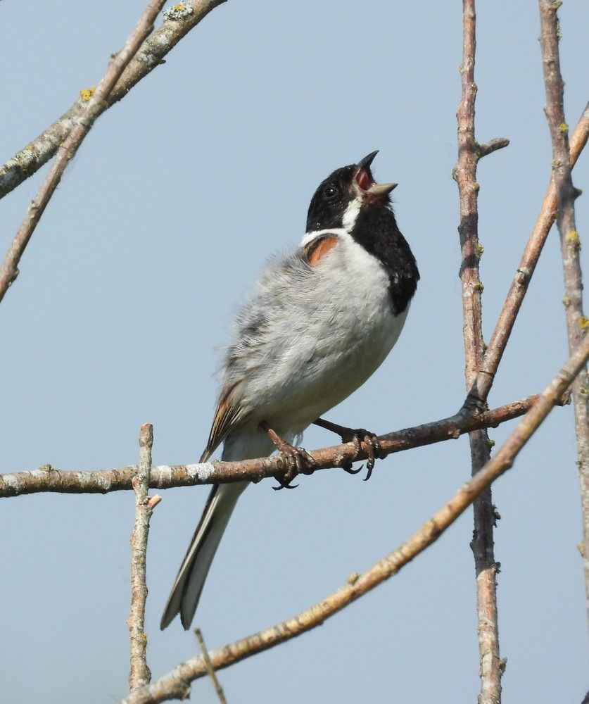 Photograph by Владимир Джерихов