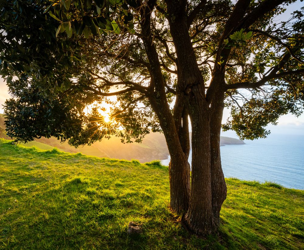 Photograph by Vadim Heinz