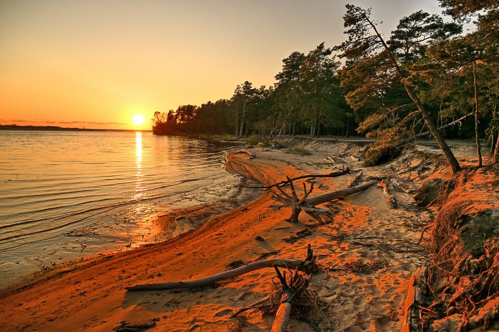 Sunset / Gauja River 05.2023