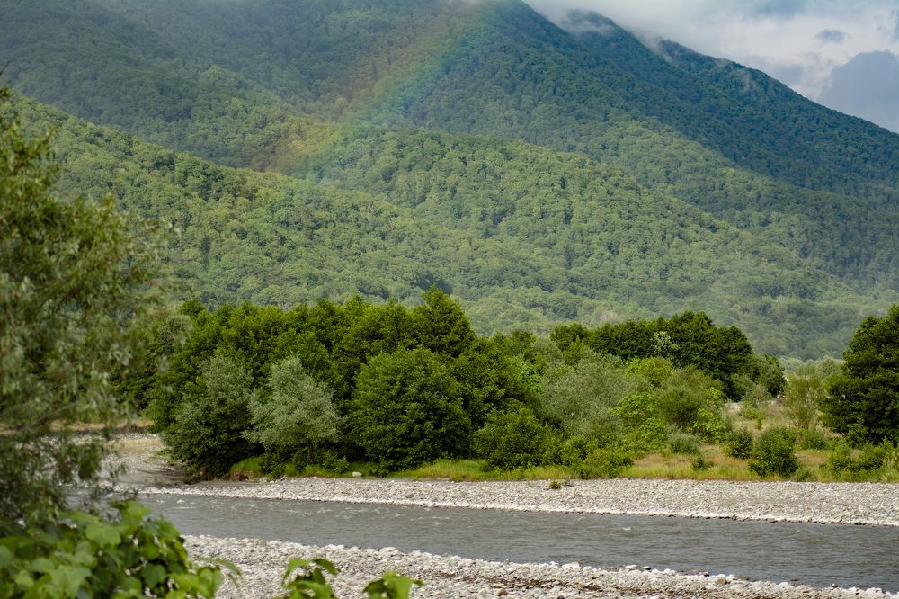 Photograph by Galina