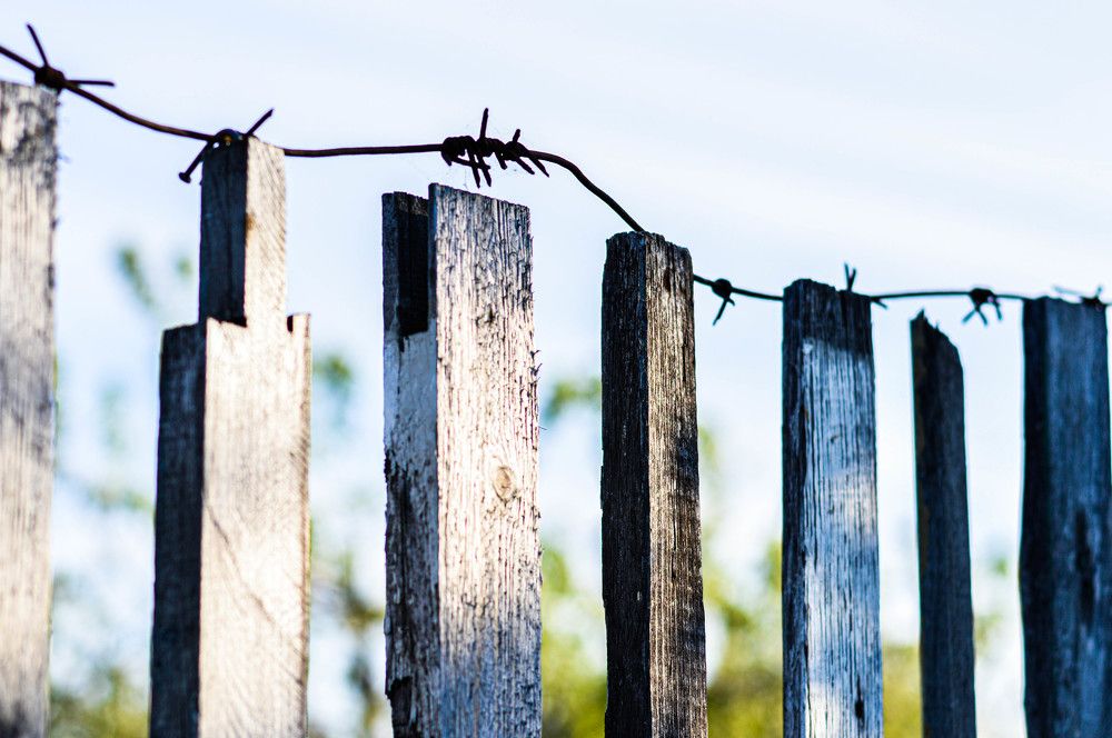 Photograph by Ангелина Ларина