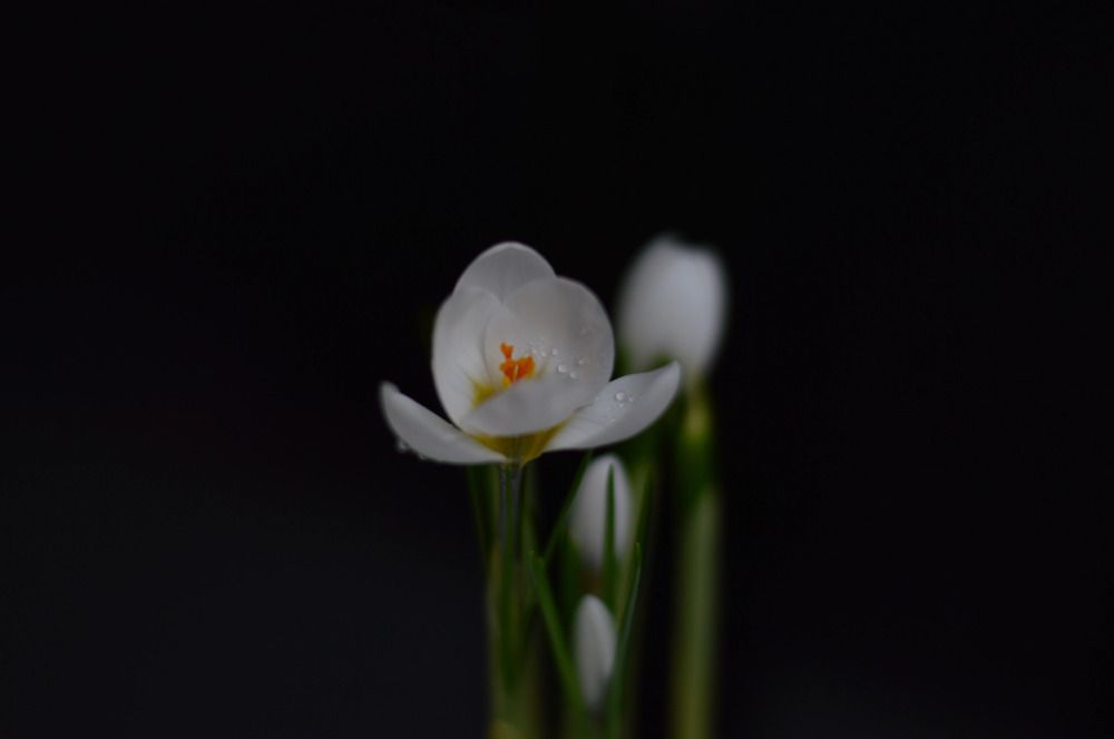 Photograph by Ангелина Ларина