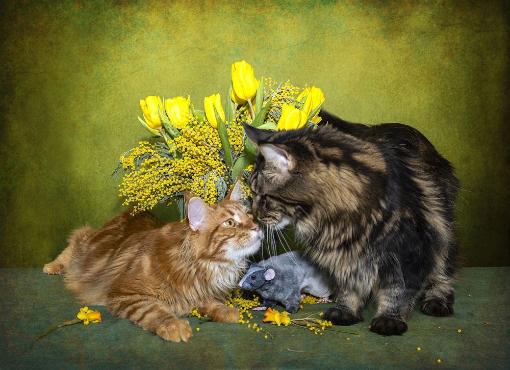 Photograph by NADEZHDA PELYMSKAIA