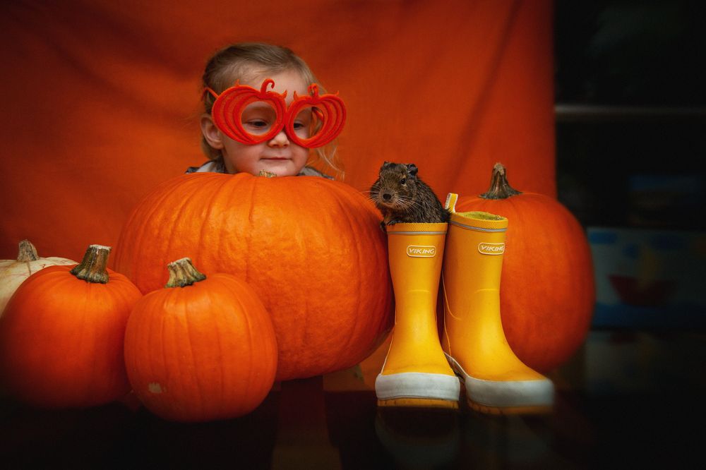 Фотография автора Оксана Мерзликина