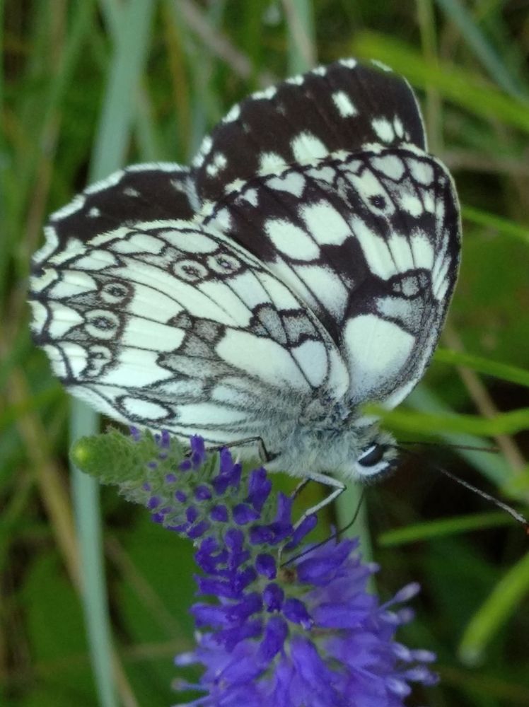 Photograph by Елена Коробченко