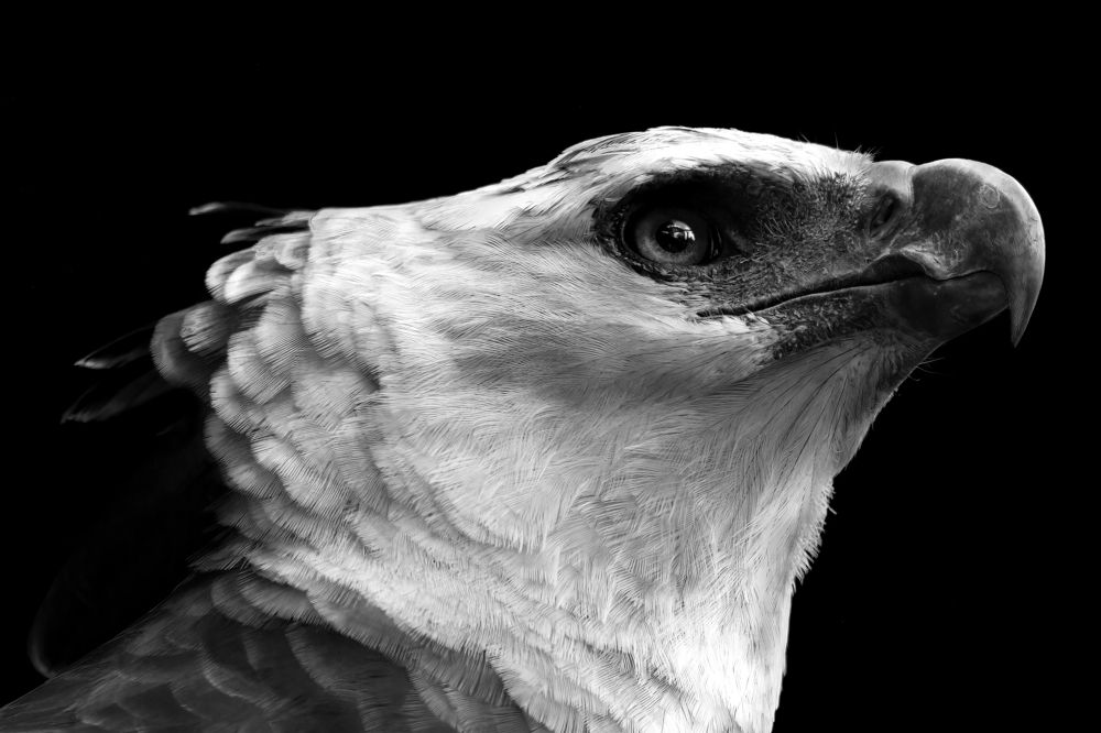 Photograph by Andre Miranda