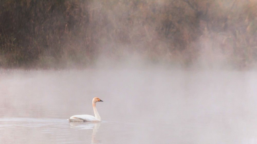 Photograph by константин