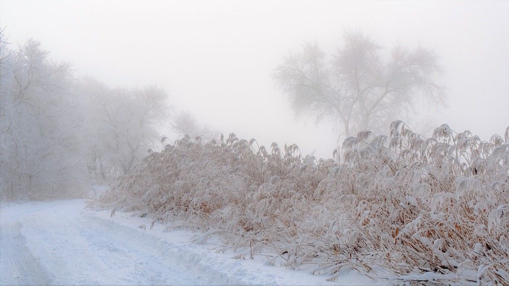 Photograph by константин