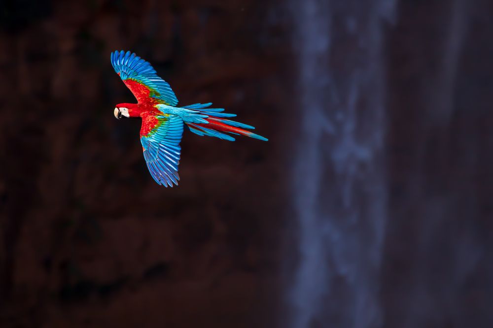 Photograph by Thiago Antunes