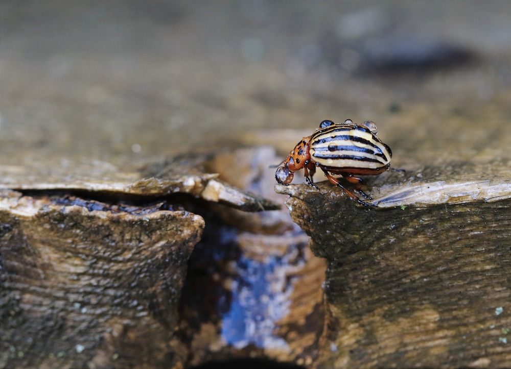 Photograph by Татьяна Полоцкая