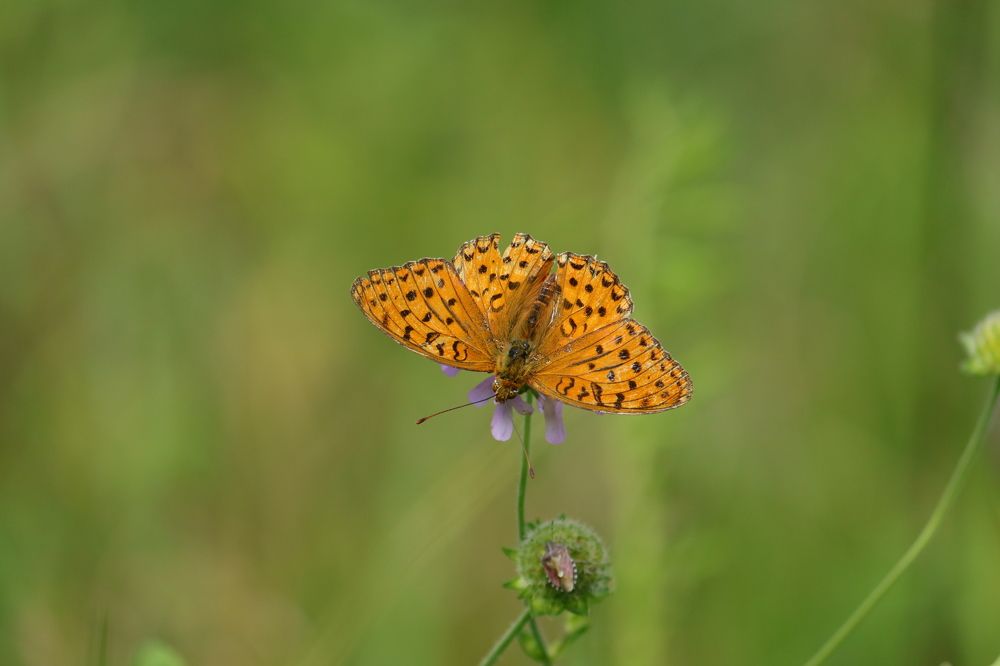 Photograph by Наталья Канарейкина