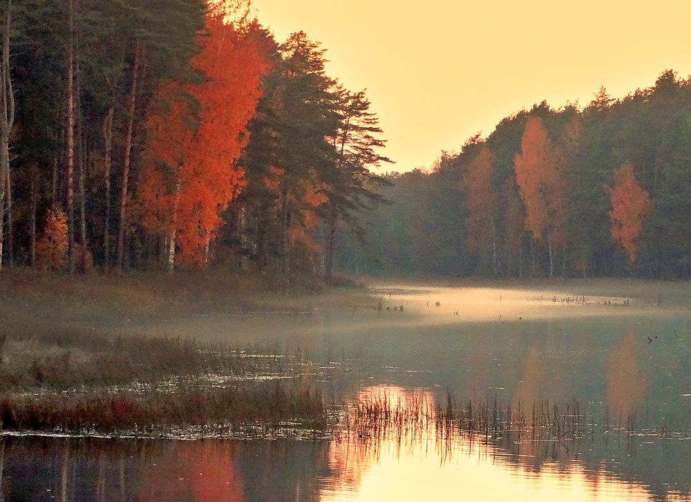 Туман стелется над водой