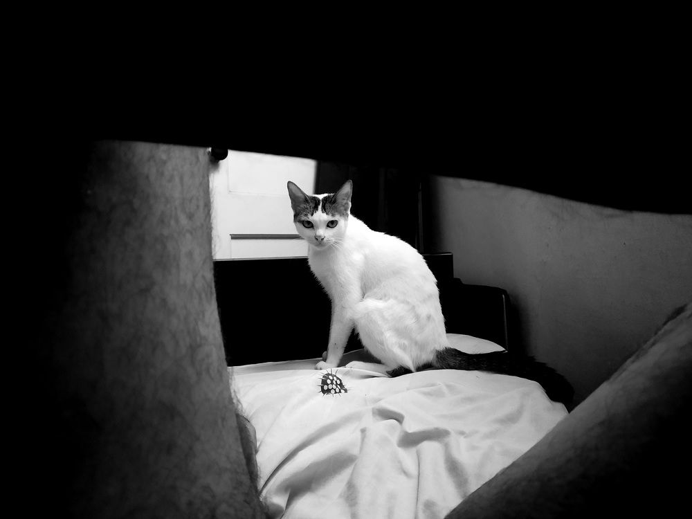 Photograph by Jorge Cruz Fraga