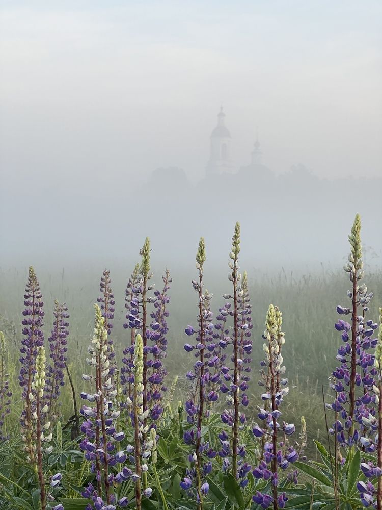 Photograph by Анастасия Юсова