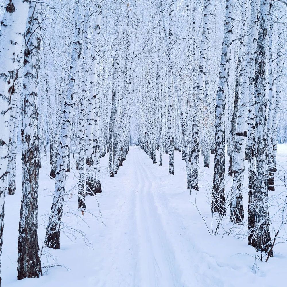 Photograph by Александр Кузовков