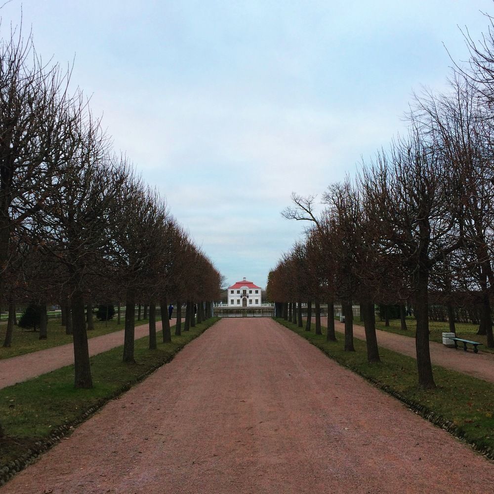 Photograph by Александр Кузовков