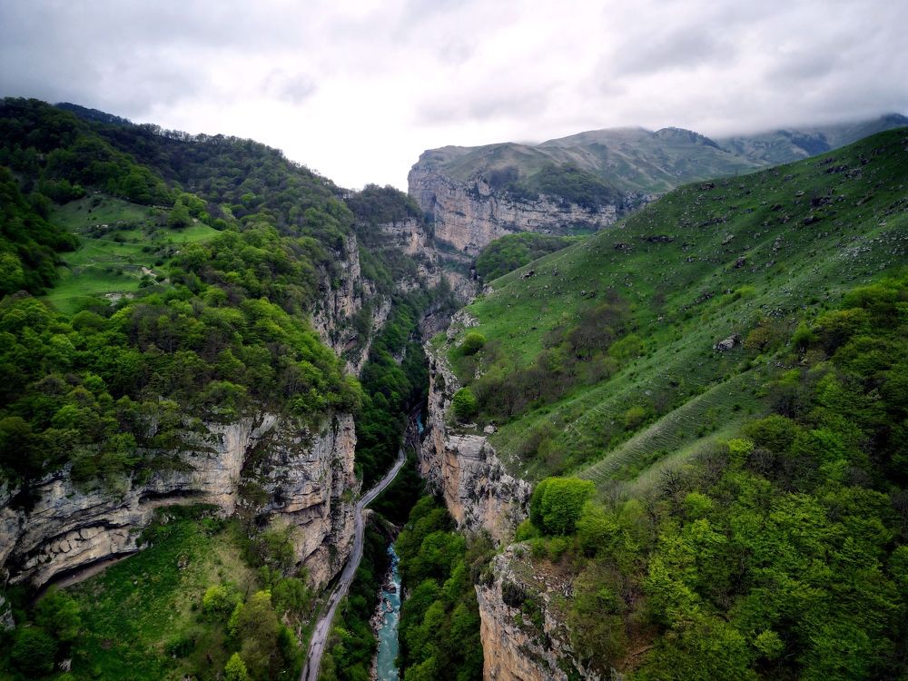 Photograph by Дорофеева Анна