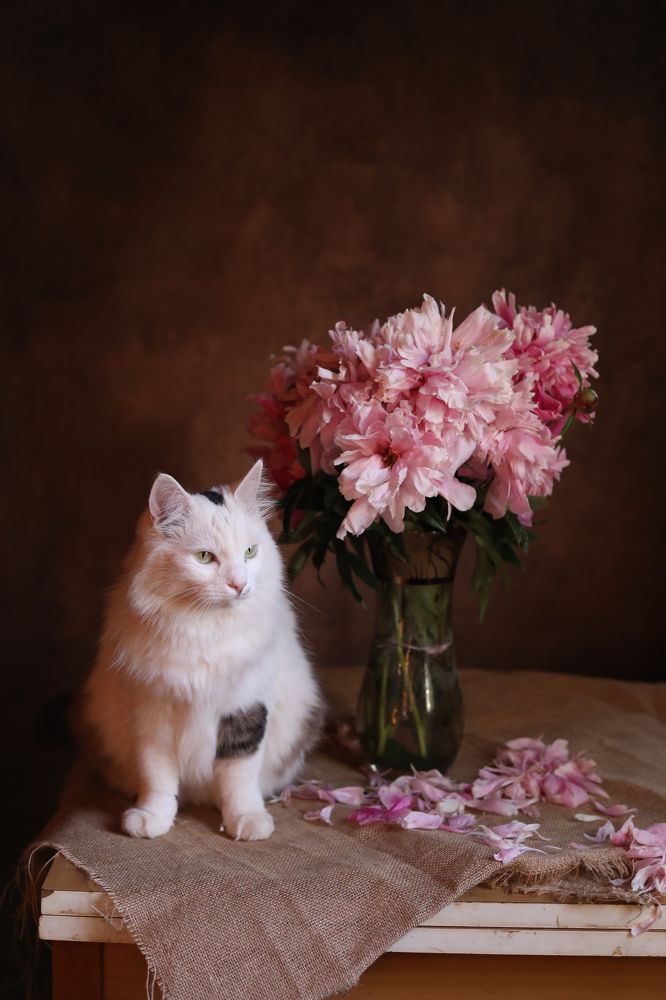 Photograph by Татьяна Скворцова