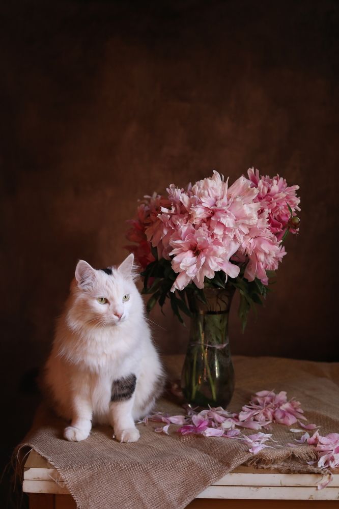 Photograph by Татьяна Скворцова