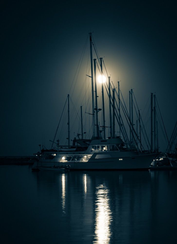 Photograph by Silvia Marcos