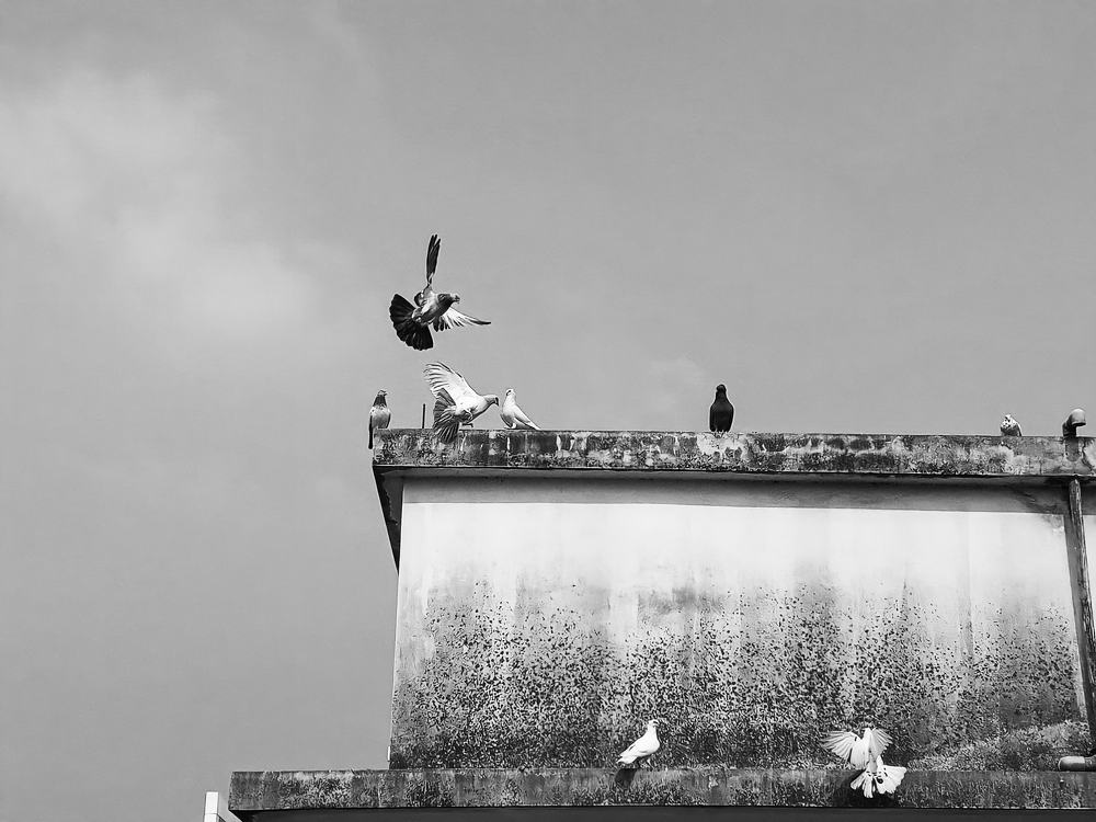 Photograph by Saria Tasnin Aboni