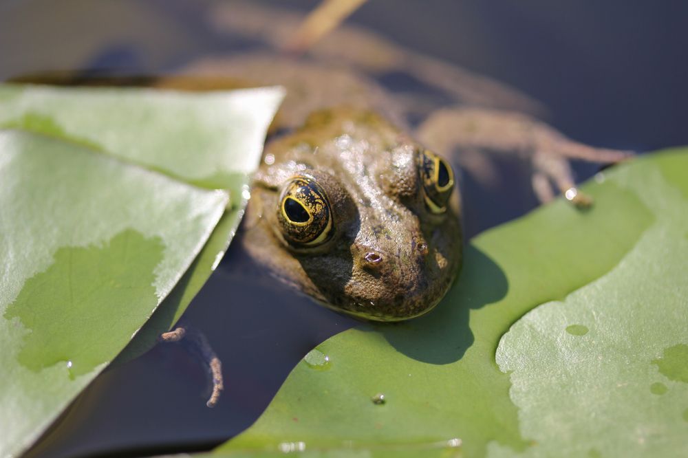 Photograph by Сергей Романченко
