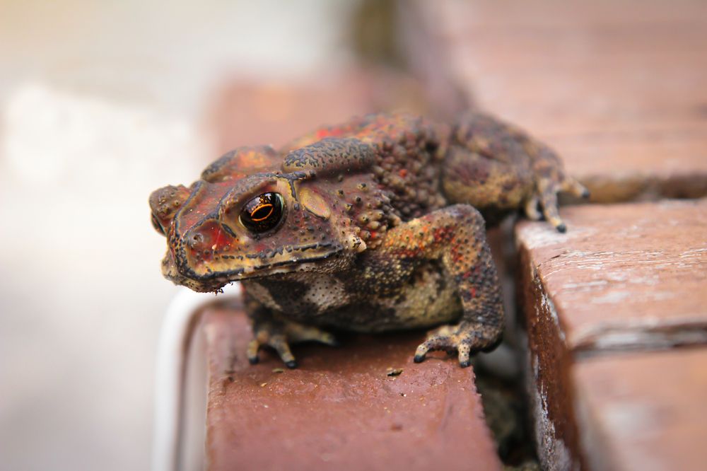 Photograph by Сергей Романченко