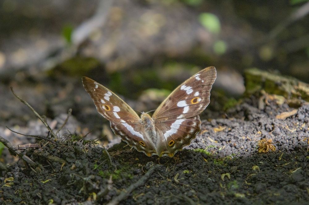 Фотография автора Потоцкий Вячеслав