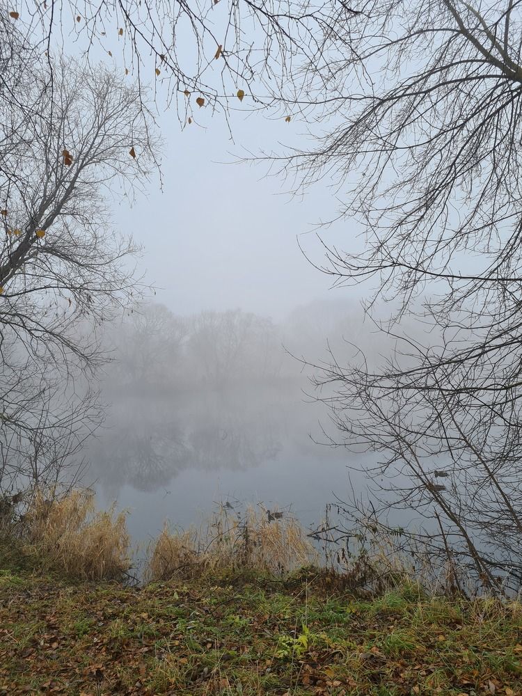 Photograph by Антонина Сухова