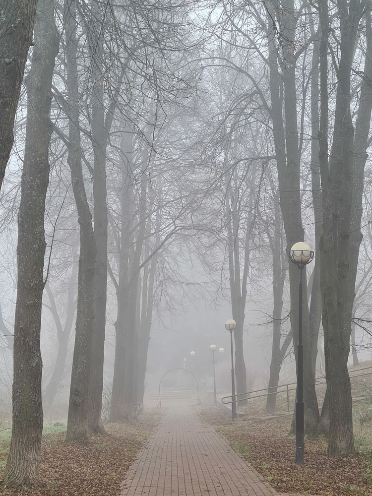 Photograph by Антонина Сухова