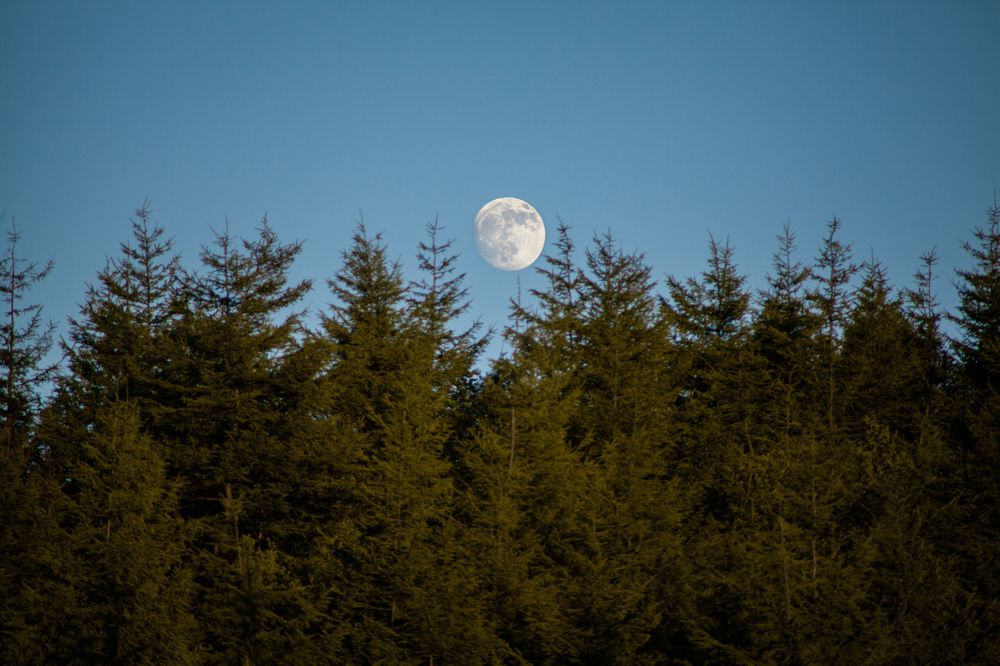 Photograph by Павел Герасимович