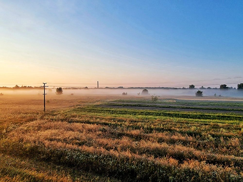 Фотография автора Дана Богинская